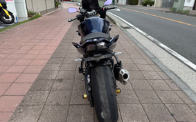 YAMAHA FZ1 FAZER N 2007 RN17