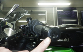 KAWASAKI NINJA 1000SX 2024 ZXT02K