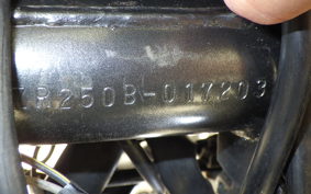 KAWASAKI BALIUS 250 2015 ZR250B