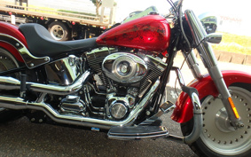 HARLEY HARLEY FLSTF1340-1450 2007 BX5