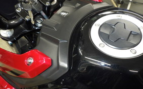 SUZUKI V-STROM 250 2009