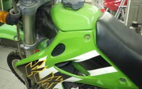 KAWASAKI KLX250 2021 LX250E