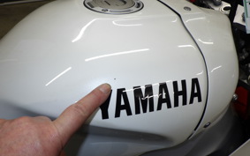 YAMAHA XSR900 GP 2024 RN96J