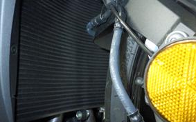 HONDA CBR600RR 2025 PC40