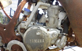 YAMAHA YZ250 2025 3JE