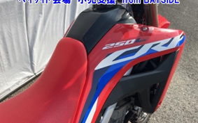 OTHER CRF250L-2