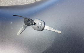 KAWASAKI NINJA 250 EX250L