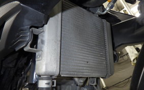 SUZUKI GSX-S125 2021 DL32B
