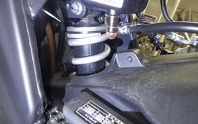 YAMAHA YZF-R15 RG86J