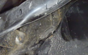 HONDA GYRO CANOPY TA03
