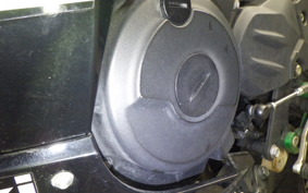 KAWASAKI NINJA 250 EX250P