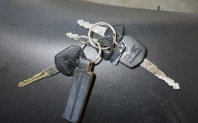 KAWASAKI NINJA 250 EX250L