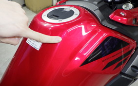 SUZUKI Vｽﾄﾛｰﾑ250