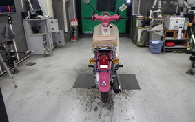 HONDA C110 SUPER CUB