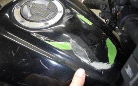 KAWASAKI NINJA 250 EX250L