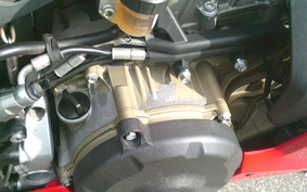 DUCATI 1299PANIGA-RES 2015 ZDMH905JAFB