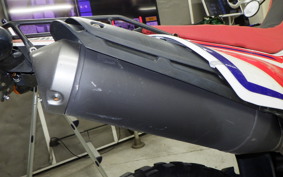 HONDA CRF250L 2009 MD38