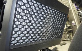 HONDA CL250-2 2023 MC57