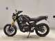 Фото Triumph SPEED 400 2024 с японского аукциона