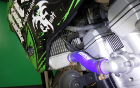 KAWASAKI KLX250D TRACKER X 2024 LX250V