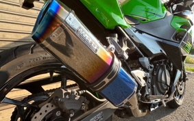 KAWASAKI NINJA 250 EX250P