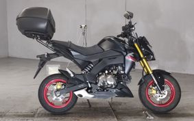 KAWASAKI Z125 PRO  BR125H