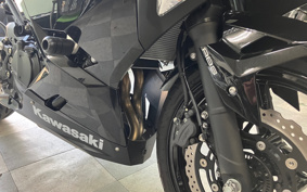 KAWASAKI NINJA 250 ABS EX250P