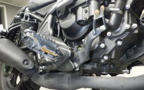 HONDA REBEL 250 E-Clutch 2024 MC49