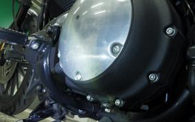 HARLEY XL883N 2013