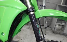 KAWASAKI KX100 KX100F