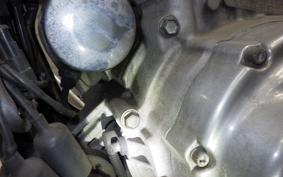 HARLEY XL883LI 2009