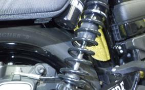 HARLEY FXDLS1800 2016