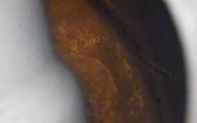 YAMAHA SEROW 225 Gen.2 2025 1KH