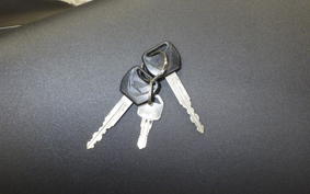 HONDA REBEL 250 2021 MC49