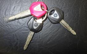 YAMAHA XSR700 2023 RM41J