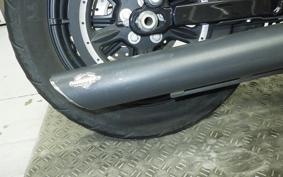 HARLEY XL1200NS 2019