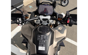 TRIUMPH TIGER 1200 RALLY PRO 2026 TAP20V