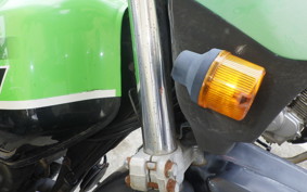 KAWASAKI SUPER SHERPA 2020 KL250G
