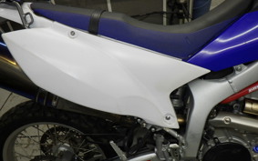 YAMAHA WR250R 2021 DG15J