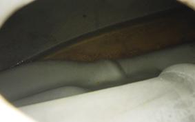 KAWASAKI Z1000 2009 Z1F