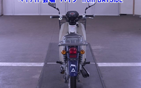 OTHER C110PU LOW 3