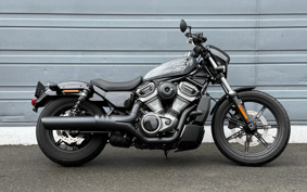 HARLEY  HARLEY RH975 NIGHT  STAR  2023 ZH1