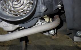 HONDA DIO 110 JF31