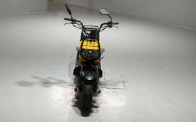 HONDA ZUMAR AF58