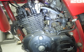 HONDA XL250R PARIS-DAKAR  1991 MD03