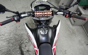 YAMAHA WR250X 2009 DG15J