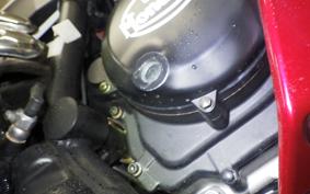 OTHER +FBﾓﾝﾃﾞｨｱﾙﾊﾟｶﾞｰﾆ300