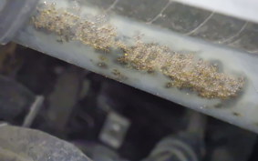 HONDA DIO Gen.6 AF68