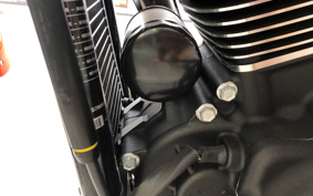 HARLEY FXBBS 2021 YYK