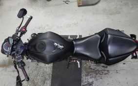 KAWASAKI NINJA 250 EX250L